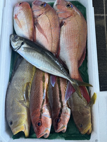 鮮魚BOX約5.2kg(釣)