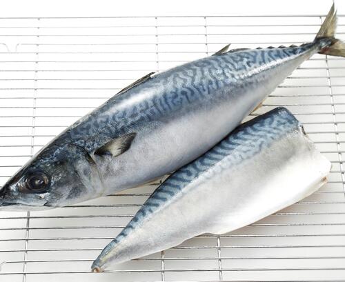 マサバ16尾/10kg16入約10kg(巻網)