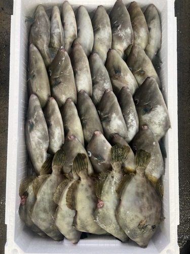 鮮魚BOX約6kg(定置)