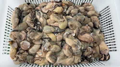 牡蠣(ラン持ち等)(加熱用)(沿岸)