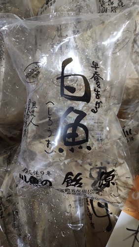 イサザ約0.04kg