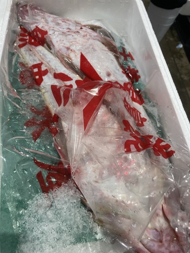 コチ2入約2.5kg