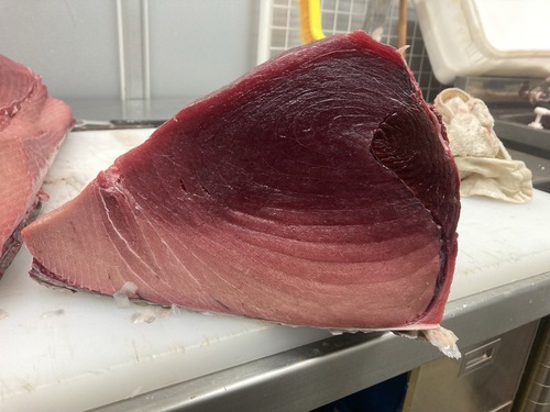ミナミマグロ腹下1入約9kg