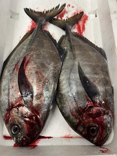 オキアジ大2入約2.5kg(定置)
