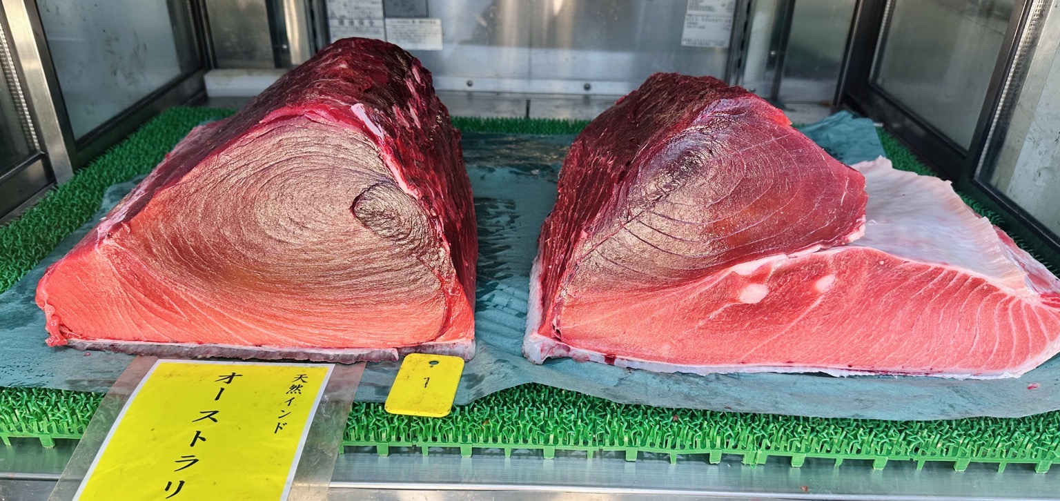 ミナミマグロ(延縄)【業務用の鮮魚仕入れならウーオ】
