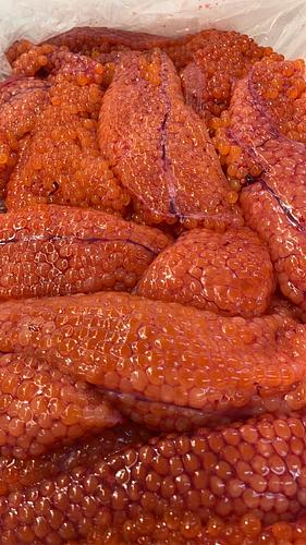 筋子約3kg(沿岸)
