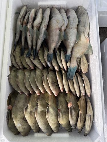 鮮魚BOX45入約5.8kg(定置)