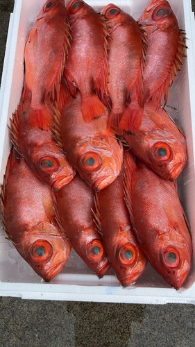 チカメキントキ11入約5kg