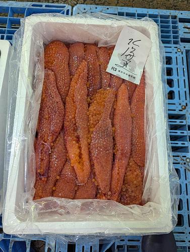 筋子約3kg(定置)