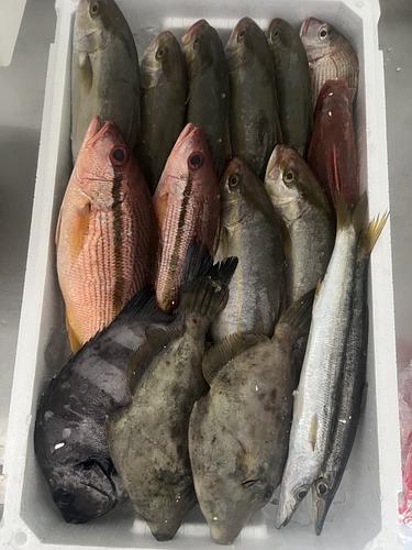 鮮魚BOX約5.7kg(定置)