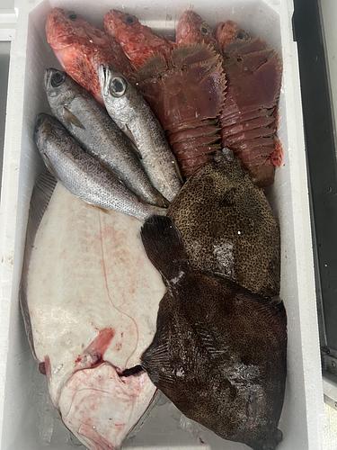 鮮魚BOX約4.4kg(底曳)
