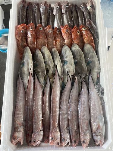 鮮魚BOX約4.2kg(底曳)