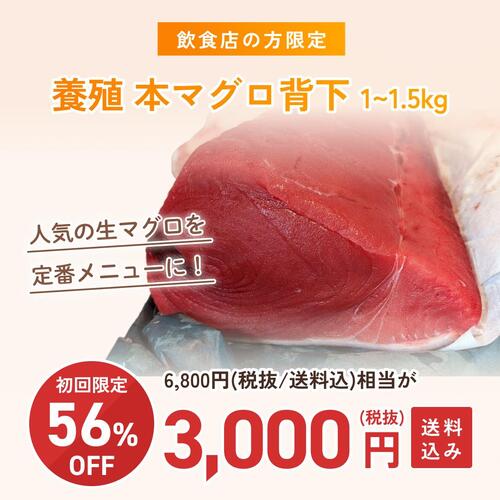 本マグロ（養殖）背下1-1.5kg約1kg(沿岸)