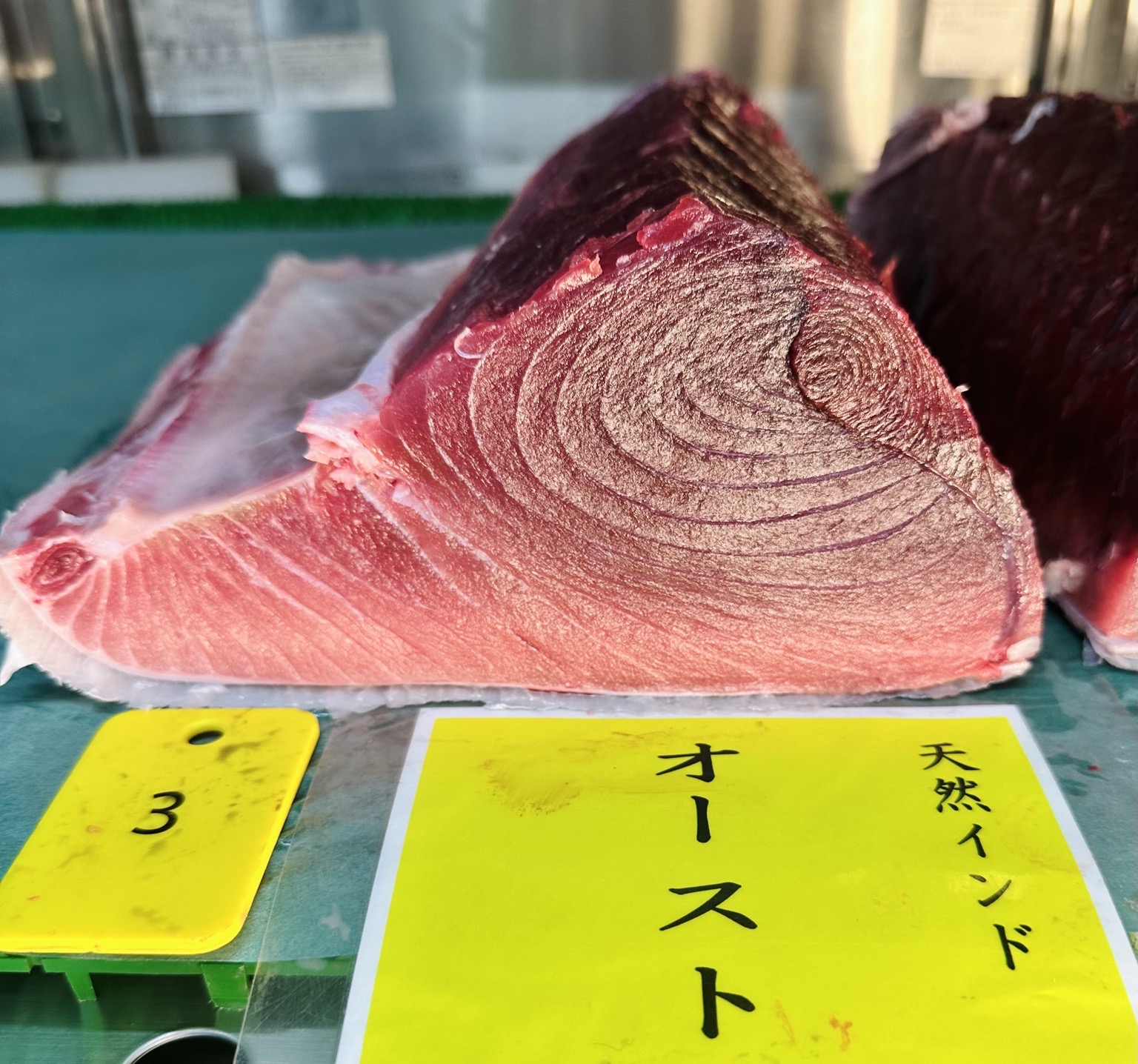 ミナミマグロ(延縄)【業務用の鮮魚仕入れならウーオ】
