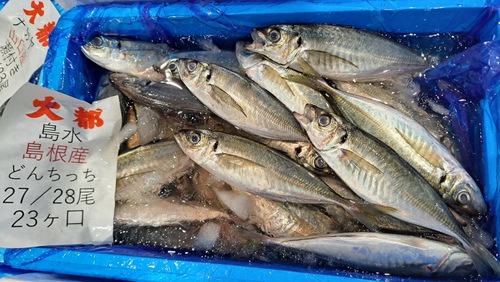 アジ(どんちっち)26/27尾約5kg(沿岸)