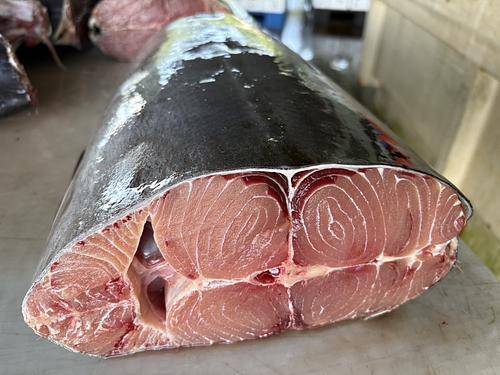 バショウカジキ(定置)