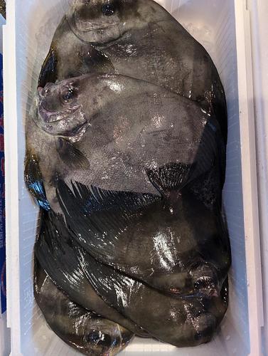 ツバメウオ6入約5kg(定置)