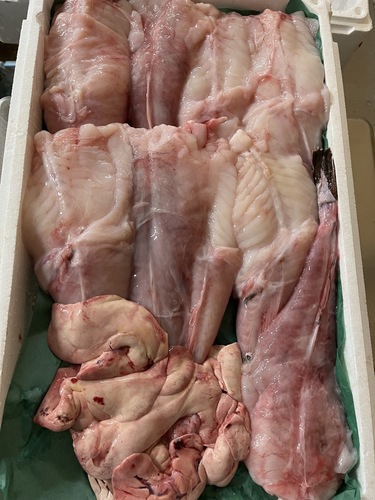 アンコウ（ムキ身）約5.7kg(底曳)