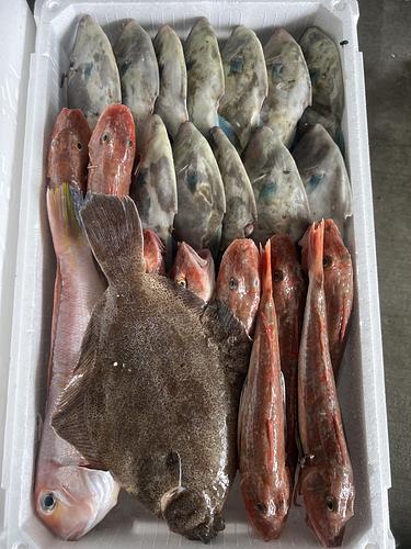 鮮魚BOX約5.2kg(底曳)