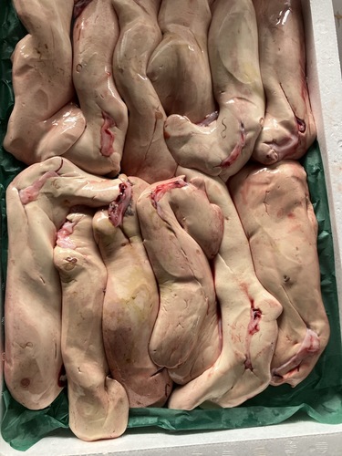 アンコウ中サイズ約3kg(刺網)