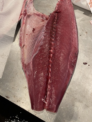 メジマグロ1入約20kg(釣)