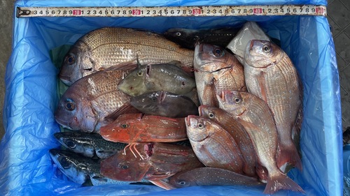 鮮魚BOXA約7.5kg(定置)