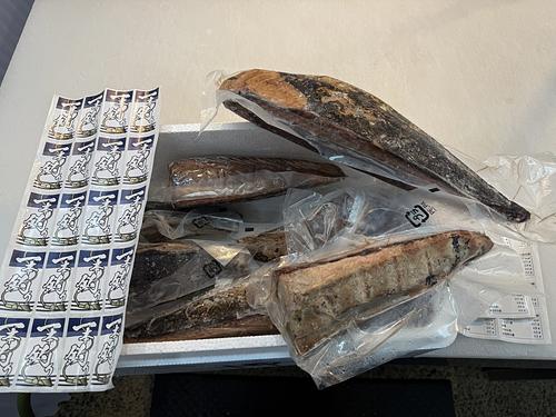 カツオ（冷凍）(釣)