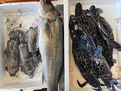 鮮魚BOX約5.3kg(定置)