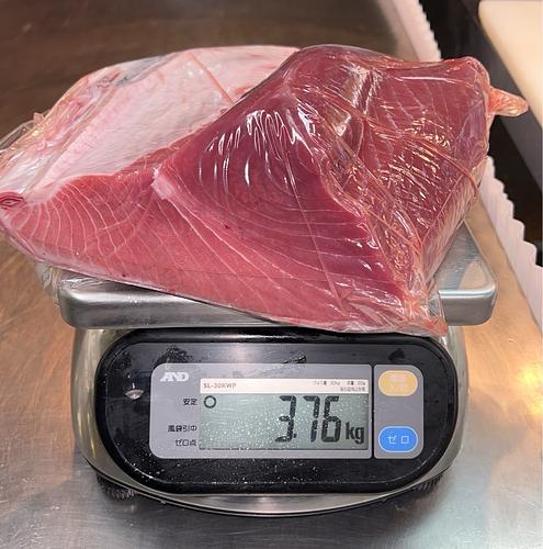 神経〆本マグロ(延縄)