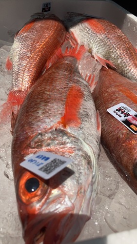 ノドグロ(アカムツ)4入約2.5kg(刺網)