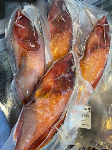 アカハタ相模湾　地物アカムツ中大サイズ450〜700gサイズ2入約1kg(釣)