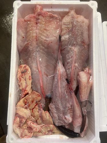 アンコウ（ムキ身）約6.7kg(底曳)