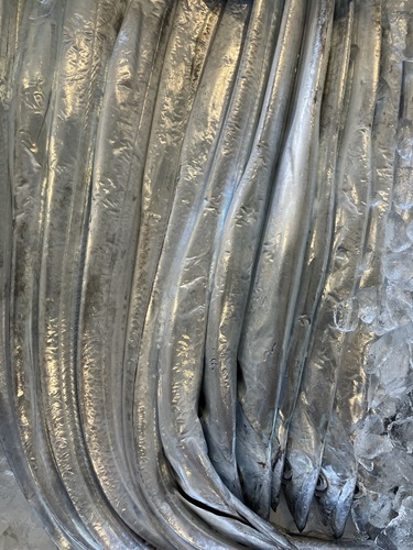 タチウオ16入約5kg(釣)