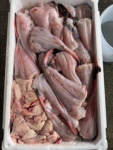 アンコウ（ムキ身）約7.9kg(底曳)