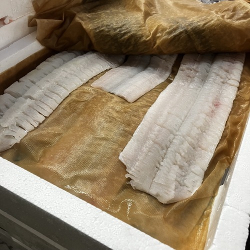骨切りハモ12入約2kg