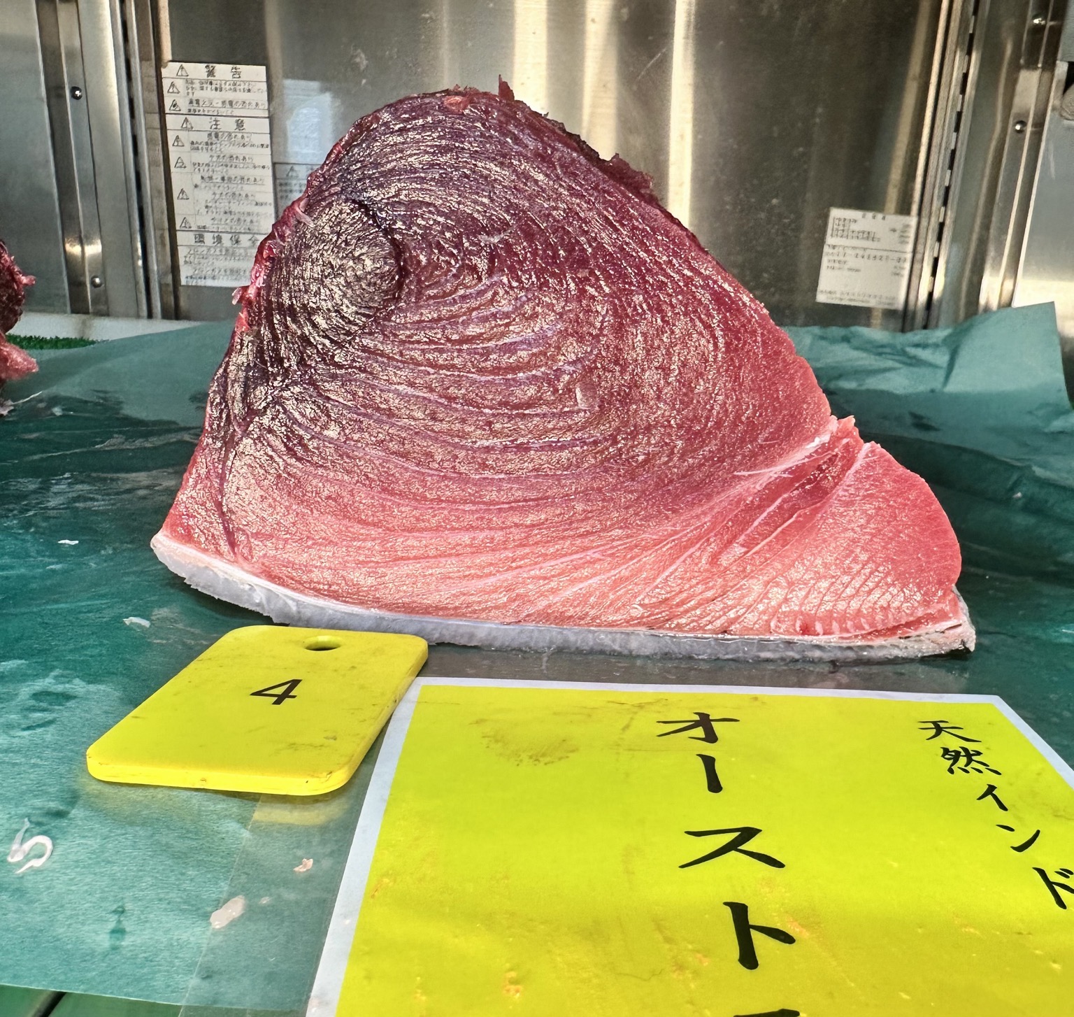 ミナミマグロ(延縄)【業務用の鮮魚仕入れならウーオ】