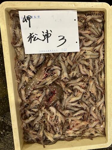 ヨシエビ500gパック6入約3kg(底曳)