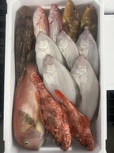 鮮魚BOX約5kg(底曳)