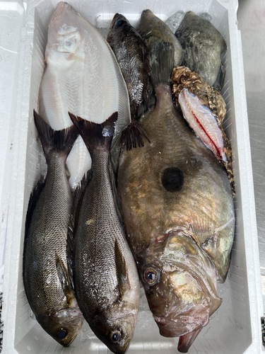 鮮魚BOX約4.2kg(釣)
