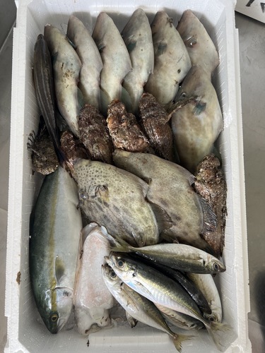 鮮魚BOX約4.5kg(定置)