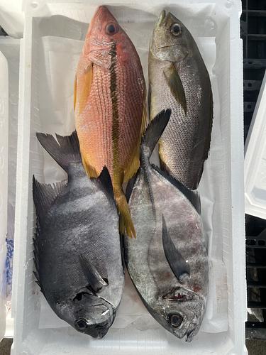 鮮魚BOX約3.2kg(定置)