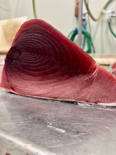 ミナミマグロ腹下1入約2kg(延縄)