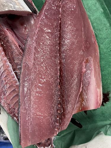ヨコワ11/13k2入約12kg(巻網)
