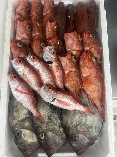 鮮魚BOX約5.1kg(底曳)