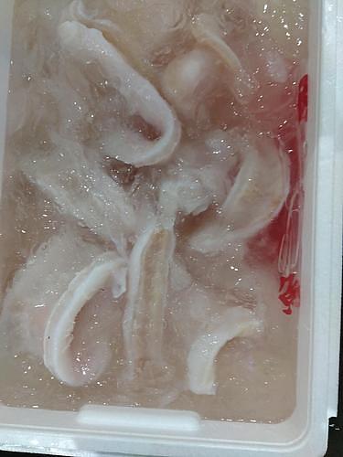 マンボウ(沿岸)