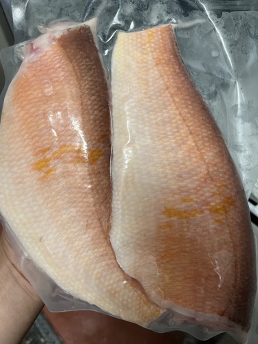 アカアマダイ(釣)