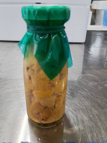 バフンウニ（塩水）赤　約100g約0.1kg(沿岸)