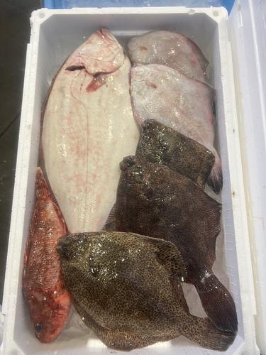 鮮魚BOX約3.3kg(底曳)