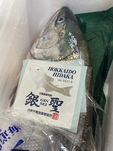 鮭(銀聖)オス1入約4kg(沿岸)