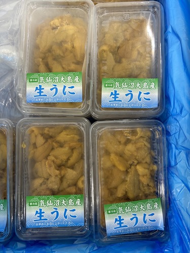 キタムラサキウニ10入約1kg(沿岸)